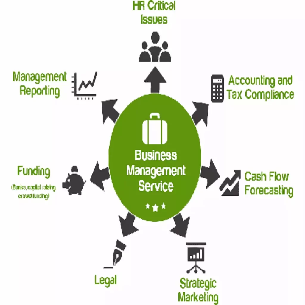 Outsourcing Accounting Management Services