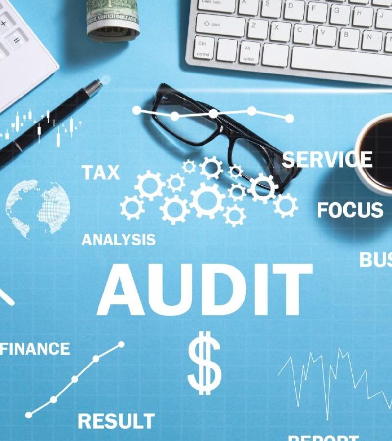 Audit Outsourcing Services
